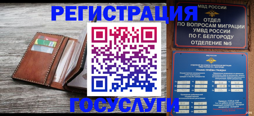 временная регистрация гарантия в Волгограде